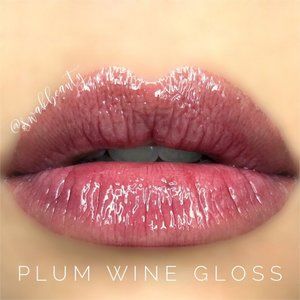 New Plum Wine Gloss - Mini Size